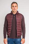 XV Kings Charles River Gilet Crimson image