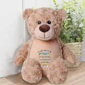 Personalised Sibling Teddy-Time To Fly (Pick Your Teddy) image