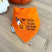 Personalised Billy's Orange Bib-Pumpkin In The Patch image