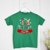Teddy Bear Banner-Green T-Shirt (0-3 months up to 2-3 years)