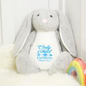 Personalised Sibling Teddy-Only Child Expiring (Pick Your Teddy)