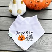 Personalised Billy's Bib-Pumpkin In The Patch image