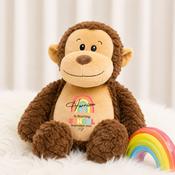 Personalised Sibling Teddy-Rainbow School (Pick Your Teddy)
