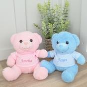 Personalised Small Embroidered Teddy - Pink &amp;amp; Blue
