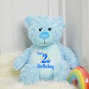 Personalised Birthday Teddy-Birthday Hat (Pick Your Teddy)