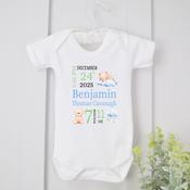 Personalised Baby Vest-All Details Teddy (Blue Or Pink) image