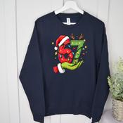 Personalised Christmas Kids/Adults Sweatshirt-67 Grinch (Red Or Navy)