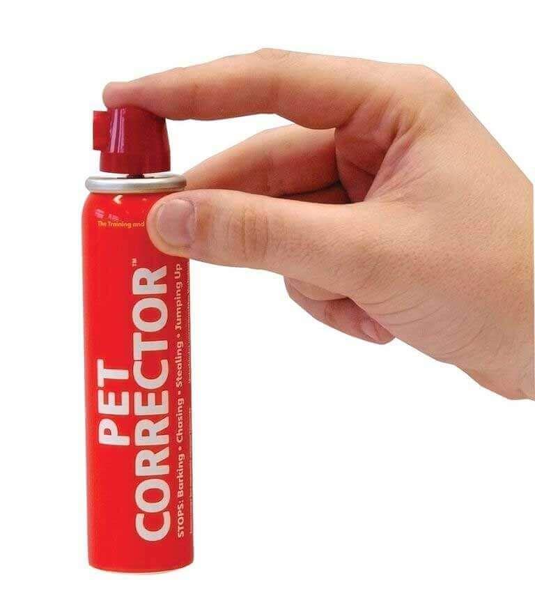 Pet Corrector 50ML - Interrupts unwanted behaviour - Training Guide