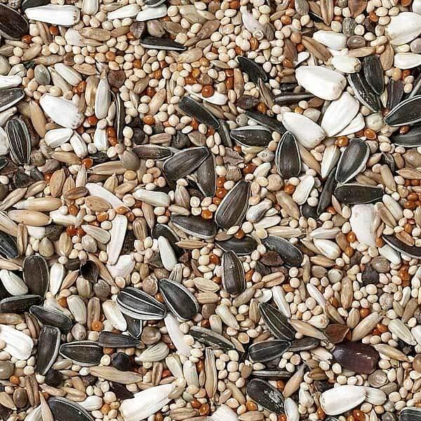 Johnston & Jeff Parakeet & Cockatiel Seed Mix 1kg - Balanced Nutrition for Active Birds with Sunflower, Millet, Canary Seed & More