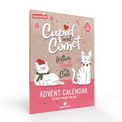 Rosewood Christmas Advent Calendar For Cats 70g