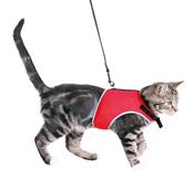 Trixie Soft Cat Harness with Lead
