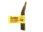 Natural Stagbar Antler Long Lasting Dog Chew - Antos Antler - Medium
