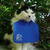 Cat Bib - Stops Cats Killing Birds LARGE