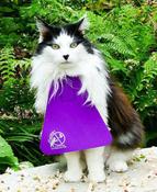 Cat Bib - Stops Cats Killing Birds SMALL