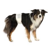 Trixie Male Disposable Diaper for Males - S-M (30-46cm)