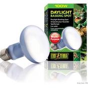 Exo Terra Daylight Basking Spot Lamp - 100w