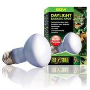 Exo Terra Daylight Basking Spot Lamp - 50w