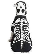 BLACK Glow Bones Dog Halloween Costume - X-Large 24"
