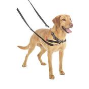 HALTI Training Dog Lead Black - Small