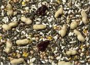 Premium No.1 Parrot Food 2kg - Johnston &amp; Jeff
