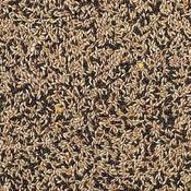 Johnston &amp; Jeff Mixed Canary Seed 1kg image
