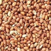 Johnston &amp; Jeff Wild Bird Peanuts - 1kg