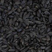 Johnston &amp; Jeff Black Oil Sunflower Seed - 12.75kg