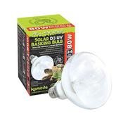 Solar D3 UV Basking Bulb