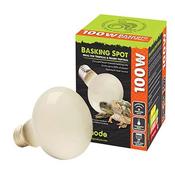 Komodo Basking Spot Lamp - 50w