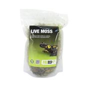 Prorep Live Moss Small Bag (Approx 1.5L)