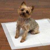 Puppy Toilet Training Pads - 7pk