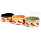 Rosewood Carrot Pattern Ceramic Small Animal Bowl