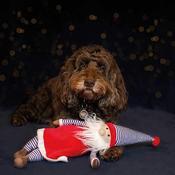 Rosewood Christmas Jolly Santa Dog Toy