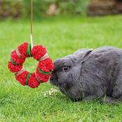 Rosewood Christmas Small Animal Wreath