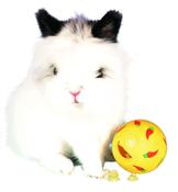 Trixie Snacky Snack Ball for Small Animals