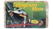 Sphagnum Moss Reptile Bedding Lucky Reptile 100g