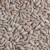 Johnston &amp; Jeff Wild Bird Sunflower Heart Seeds - 4kg