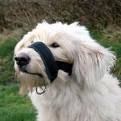 Black Nylon Muzzle Loop for Dogs - Large