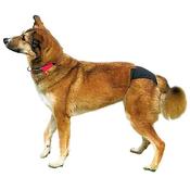 Trixie Dog Black Hygiene Pants - XL (60-70cm)