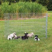 Trixie Hexagon Puppy Play Pen 8 x 60 x 91 cm