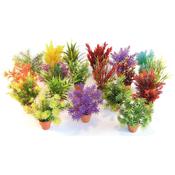 Sydeco Aquaplant Mixed Small In Pot SINGLE image