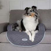 Scruffs Wilton Sofa Bed (S) 66x70x12cm Grey