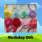 Free Birthday Gift 3