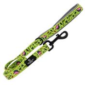 Ancol Soho Dinosaur Nylon Dog Lead 100cm x 19mm