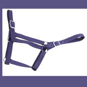 Economy Webbing Headcollar PONY NAVY