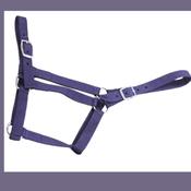 Economy Webbing Horse Headcollar COB NAVY image
