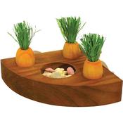 Rosewood Carrot Toy 'n' Treat Holder
