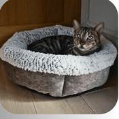 Rosewood Premium Grey Luxury Plush Round Bed 48 cm