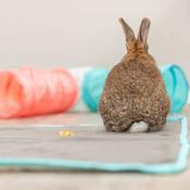 Trixie Fleece Blanket For Enclosures And Cages Small Animal 140x100cm