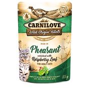 CARNILOVE Grain Free Cat Pouch Pheasant &amp; Raspberry Leaves 85g image